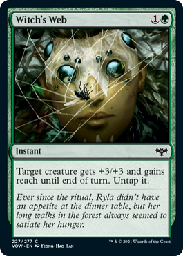 Witch's Web.png