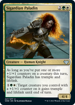 Sigardian Paladin.png