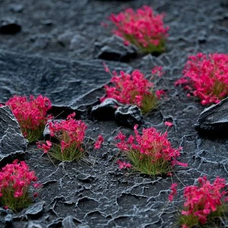 pol_pm_Pink-Flowers-20581_2.jpg