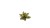 pol_pl_Laser-Plants-Dumb-Cane-Difenbachia-22170_1.jpg
