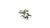 pol_pl_Laser-Plants-Lords-and-Ladies-Obrazki-Plamiste-22171_6.jpg