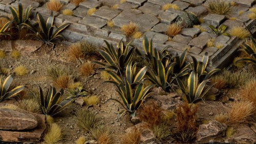 pol_pl_Laser-Plants-Agave-Agawa-22172_1.jpg