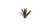 pol_pl_Laser-Plants-Agave-Agawa-22172_2.jpg