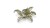 pol_pl_Laser-Plants-Bracken-Paproc-22177_2.jpg