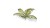 pol_pl_Laser-Plants-Bracken-Paproc-22177_1.jpg