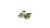 pol_pl_Laser-Plants-Monstera-22179_3.jpg