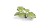 pol_pl_Laser-Plants-Monstera-22179_2.jpg