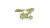 pol_pl_Laser-Plants-Monstera-22179_1.jpg