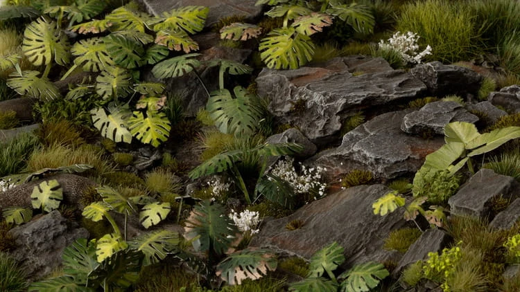 pol_pl_Laser-Plants-Monstera-22179_5.jpg