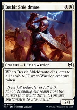 beskir shieldmate-foil.jpg