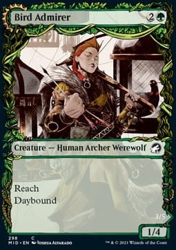bird admirer - extras foil.jpg