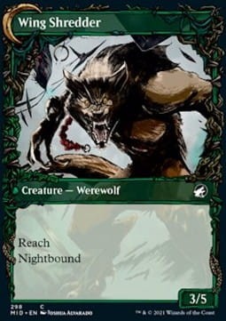 bird admirer - extras foil(2).jpg
