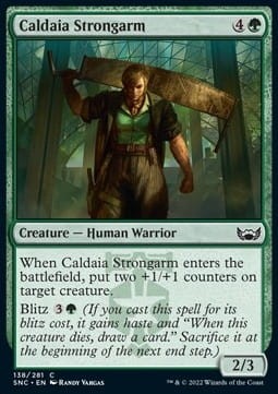 Caldaia Strongarm (SNC) - foil.jpg