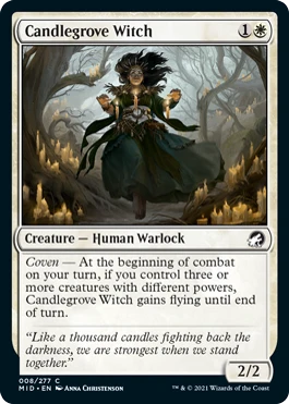 Candlegrove Witch.png