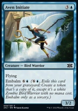 Aven Initiate (2X2) - foil.jpg