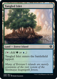 Tangled Islet.png