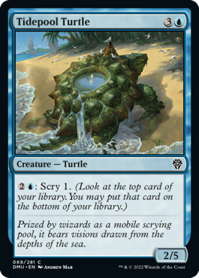 Tidepool Turtle.png