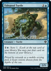 Tidepool Turtle.png