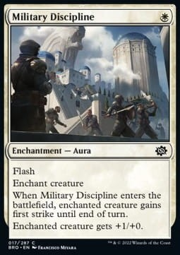 Military Discipline (BRO) - foil.jpg