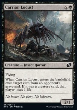 Carrion Locust foil.jpg