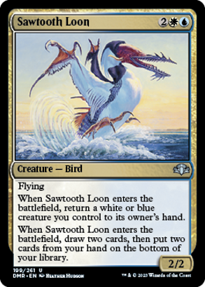 Sawtooth Loon.png