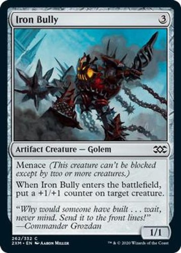 IronBully__34134.1596210732 (1).jpg