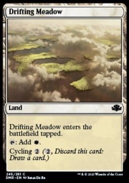 Drifting Meadow (DMR) - foil.jpg
