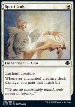 Spirit Link (DMR) - foil.jpg