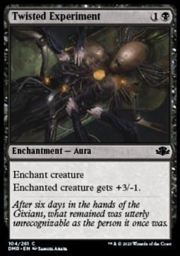 Twisted Experiment (DMR) - foil.jpg