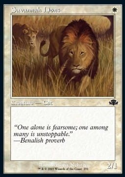 Savannah Lions (DMR) - extra.jpg