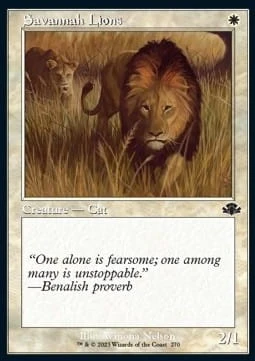 Savannah Lions (DMR) - extra.jpg