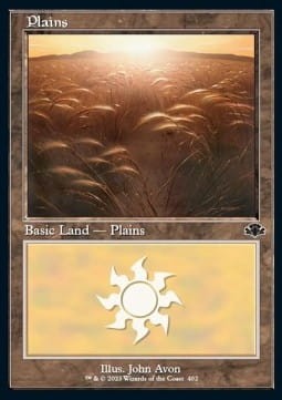 Plains V.1 (DMR).jpg