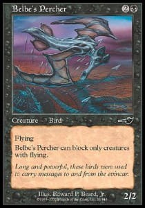 Belbe's Percher (Nemesis).jpg