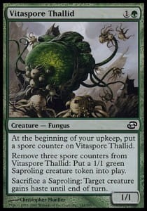 Vitaspore Thallid (PLC).jpg