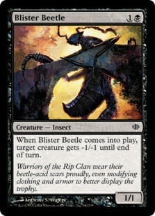 Blister Beetle.jpg