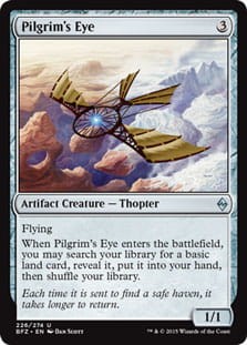 PilgrimsEye.jpg