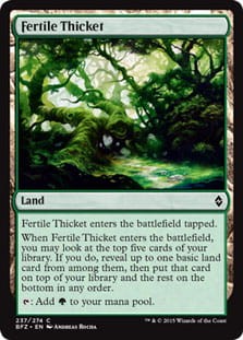 FertileThicket.jpg