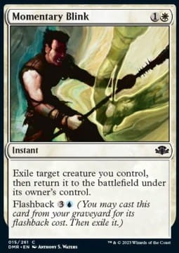 Momentary Blink (DMR) - foil.jpg