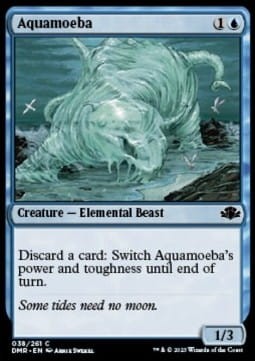 Aquamoeba (DMR) - foil.jpg