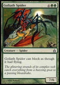 goliath_spider.jpg