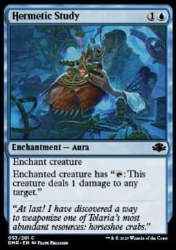 Hermetic Study (DMR) - foil.jpg