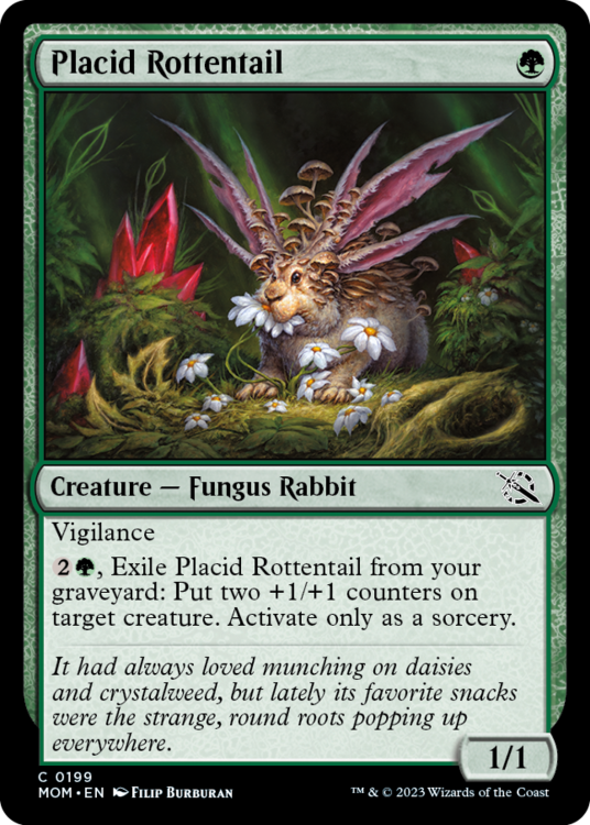 Placid Rottentail.png