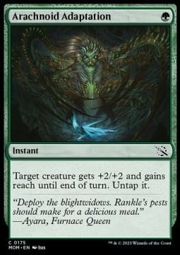 Arachnoid Adaptation (MOM) - foil.jpg