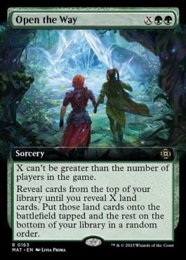 Open the Way (MAT) - extra V.3 foil.jpg