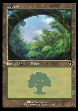 Forrest (CMM) - extra (V.3).jpg