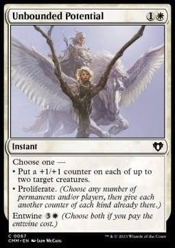 Unbounded Potential (CMM) - foil.jpg