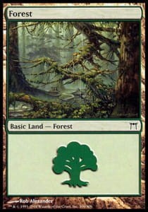 1095.jpg