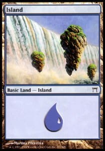 1095.jpg