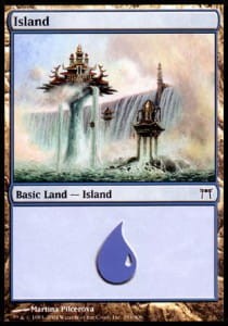 1095.jpg