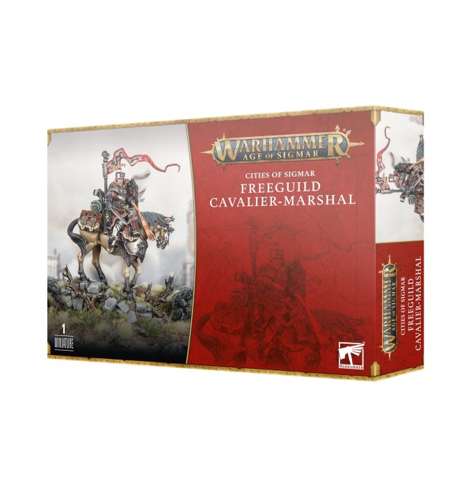 https___trade.games-workshop.com_assets_2023_10_99120202041_FreeguildSteelhelmsStock.jpg